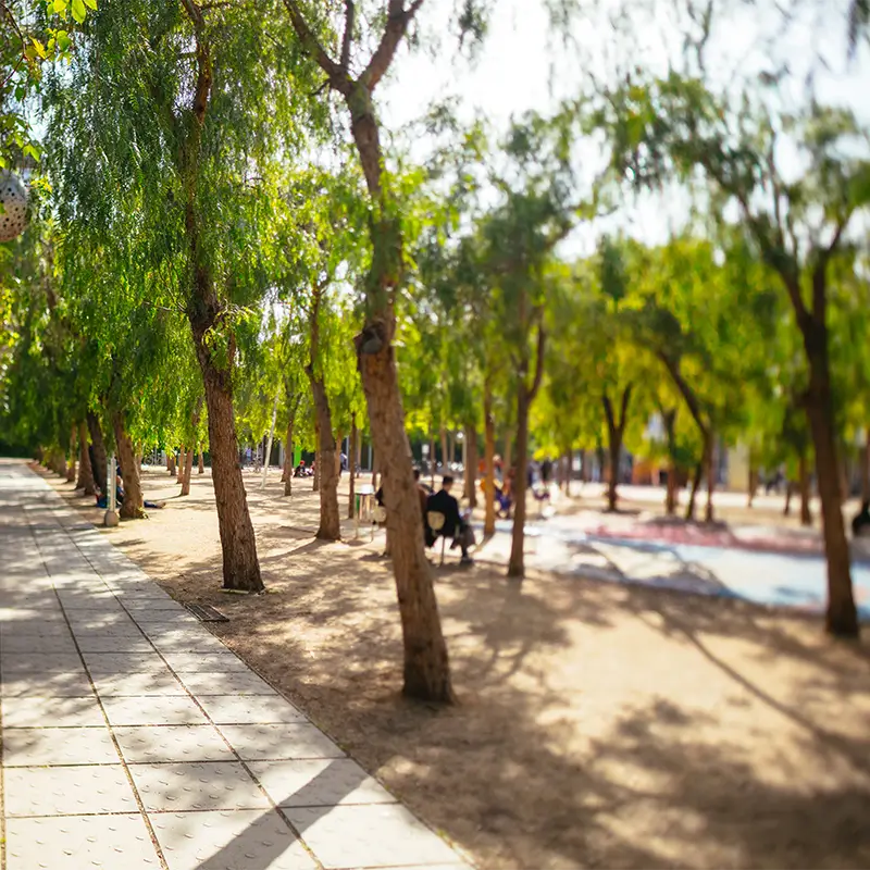 Parque | Barcelona Office Building